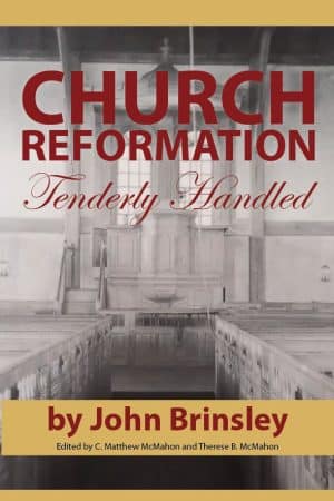 Church Reformation Tenderly Handled - by John Brinsley (1600-1665)